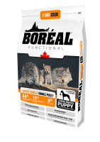 BOR LG BREED PUPPY