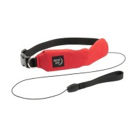 RADDOG COLLAR/LEASH LG