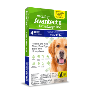 VETALITY AVANTECT II XL DOG