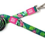 MM LEASH TROPICAL LARGE 1"W X 4'L