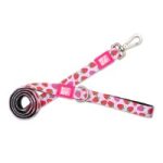 *MM LEASH STRAWBERRY DREAM MED