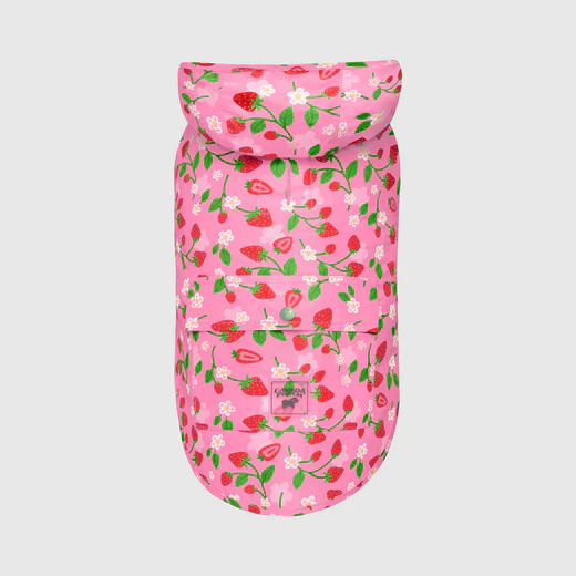 628284126836-2 PICK ME PONCHO STRAWBERRIES