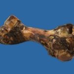 THE JUM-BONE EACH