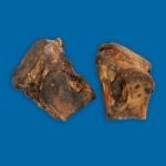 THE CONTENDER BONE