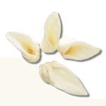M&S LAMB EARS 10PK