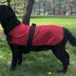 HH JACKET RED XXLRG