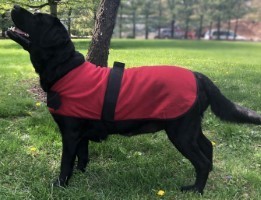 HH JACKET RED XXLRG