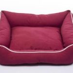DGS LOUNGER BED XS BERRY 19X15
