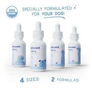 PP SAFLOWER CALM SM 150MG