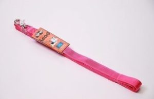 GOGO 1"X6FT PURPLE LEASH