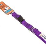 GOGO SMALL PURPLE MARTINGALE