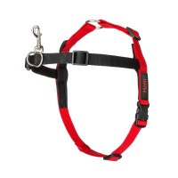 COA TRAINING HARNESS
