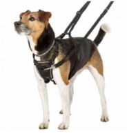 HALTI NO PULL HARNESS