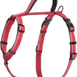 COA WALK HARNESS LARGE RED