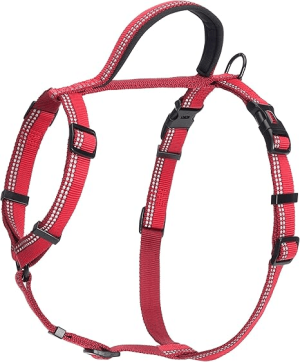 COA WALK HARNESS LARGE RED