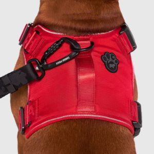 CC HARNESS RED SMALL