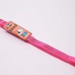 GOGO 1"X6FT PURPLE LEASH