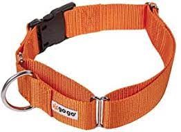 GOGO SMALL ORANGE MARTINGALE