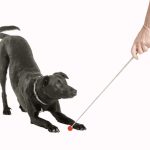 CLIX TARGET STICK