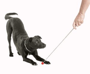 CLIX TARGET STICK