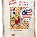 VF PEANUTS IN SHELL 8LB