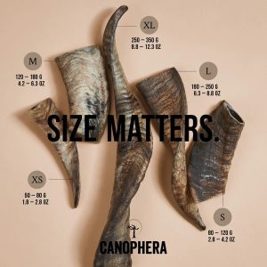 CANO SHEEP HORN SMALL
