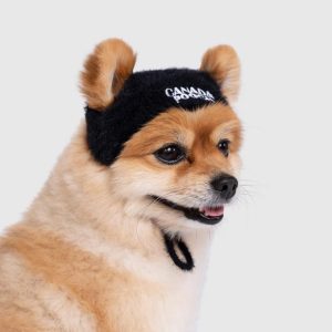 PAWPARAZZI BEANIE BLACK