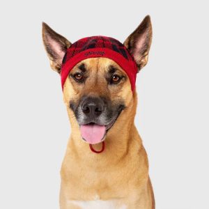 PATTERNED BEANIE RED PLAID