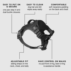 CC HARNESS BLACK SMALL