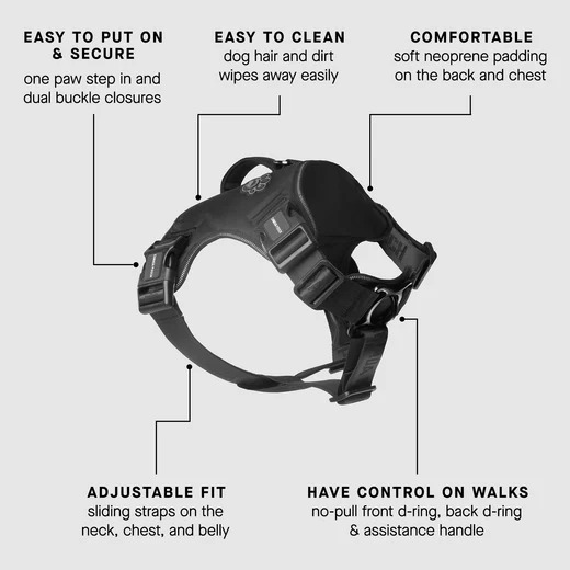 CC HARNESS BLACK SMALL