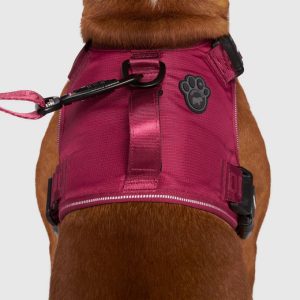 CONTROL HARNESS PLUM