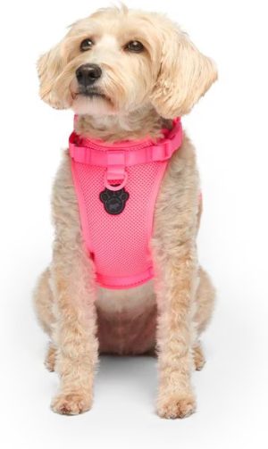 EVERYTHING HARN NEON PINK