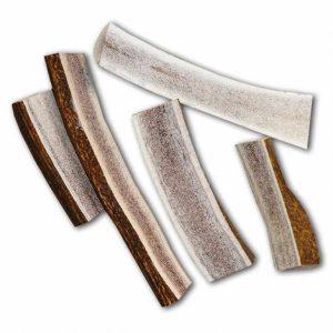 LOG CABIN LG SPLIT ELK ANTLER