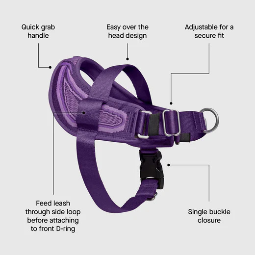 628284131892 RE-DIRECT HARNESS PURPLE/LAVENDER