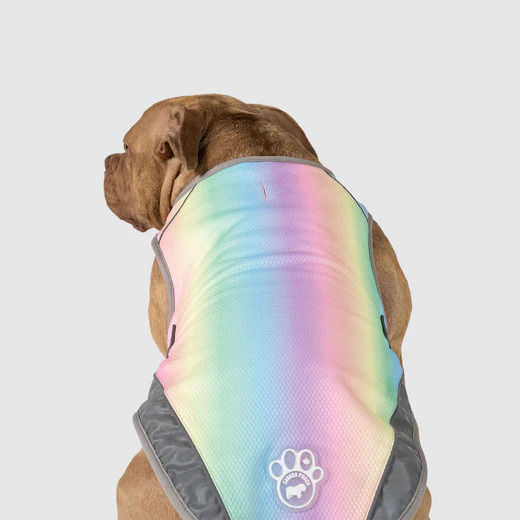 COOLING VEST RAINBOW