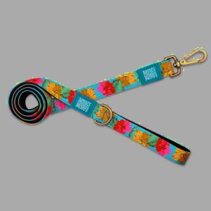 CAT HARNESS/LEASH EXOTIQUE