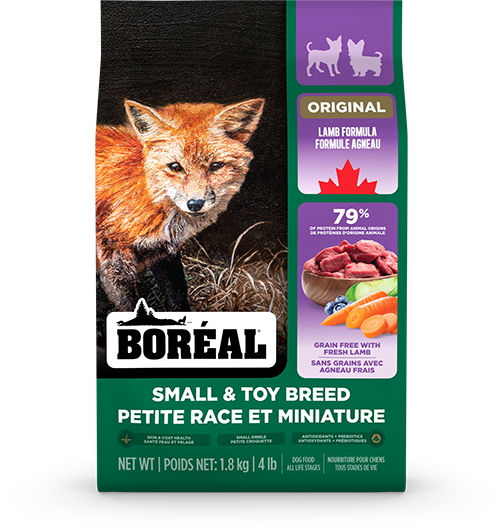 BOR GF SML/TOY BREED LAMB 4LB