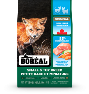 BOR GF SML/TOY BRD SALMON 4LB