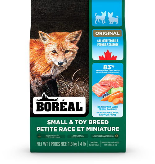 BOR GF SML/TOY BRD SALMON 4LB