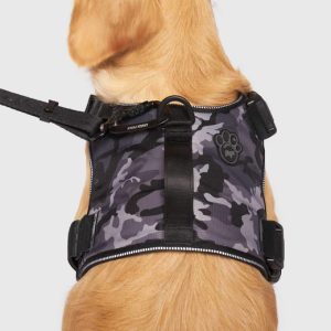 CONTROL HARN CAMO BLK XXL