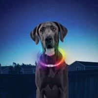 094664044616 NITEHOWL DISCO SELCT RECHARGEB