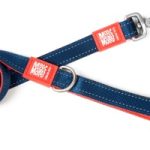 MM LEASH RED LARGE 1"W X 4'L