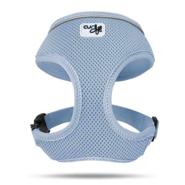 7640144825058 CURLI BASIC HARNESS SKYBLUE
