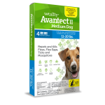 VETALITY AVANTECT II MED DOG