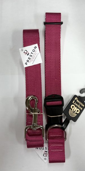 197720049522 RASPBERRY NYLON COLLAR