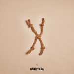 CANOPHERA COCO ROPE SPIDER CAT TOY