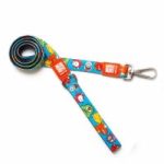 ZMM LEASH MONSTERS MED 2/3"X4'
