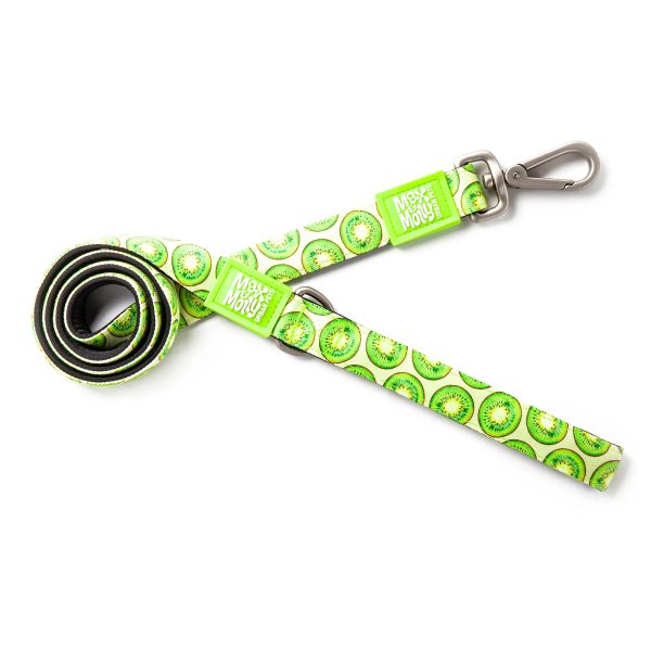 MM LEASH KIWI SMALL 1/2"W X 4'L