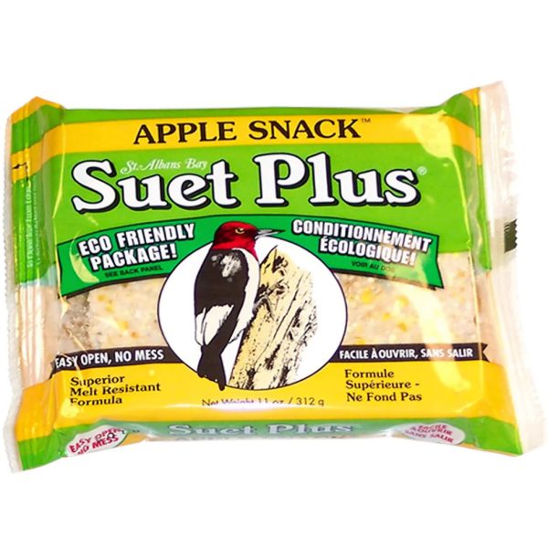 WS APPLE SNACK SUET 11OZ