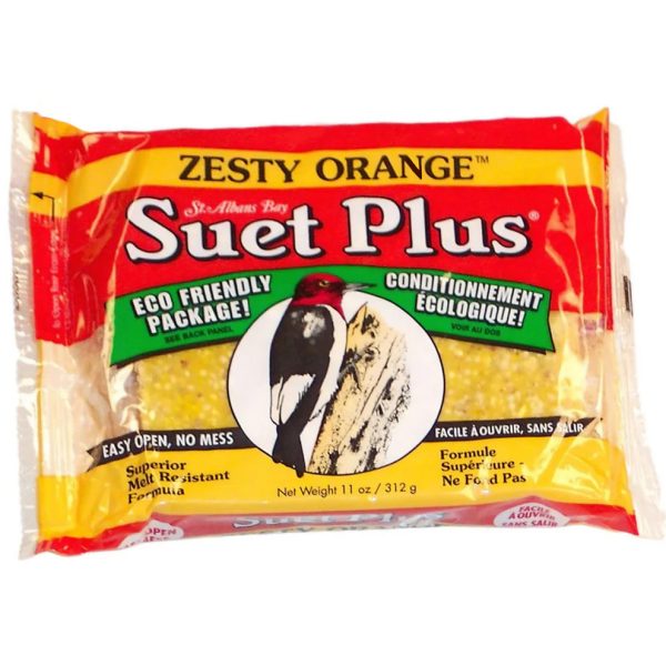 WS ZESTY ORANGE SUET 11OZ